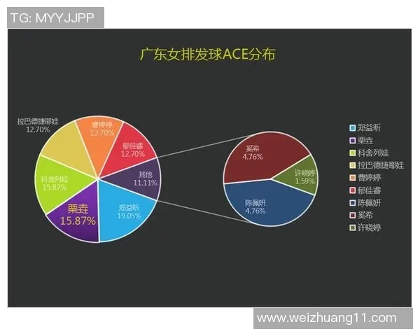 广州排球队实力深度解析与对手对比分析