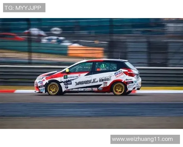 杭州排球队勇闯洲际杯的拼搏历程与荣耀时刻